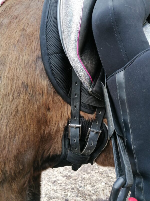 Bild #1 von Marion Heinrich